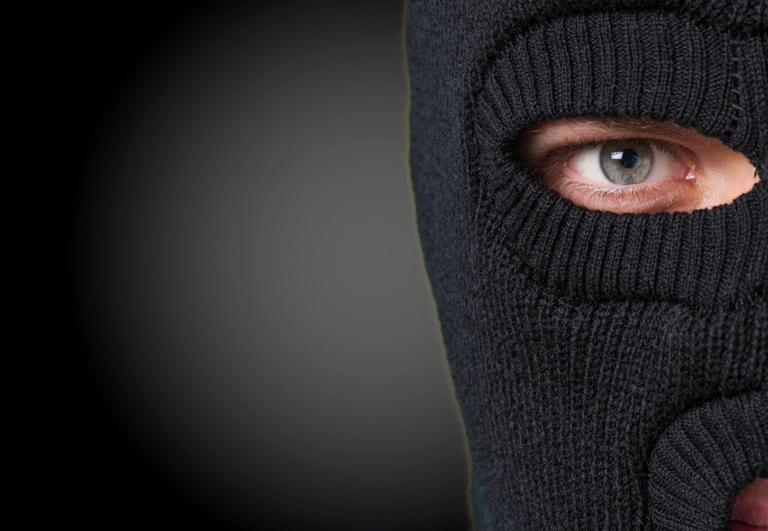 Skradziono felgi na terenie salonu. Grobowiec zniszczył borsuk, potwierdza policja